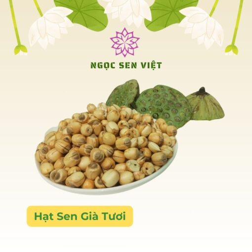 hạt sen già tươi