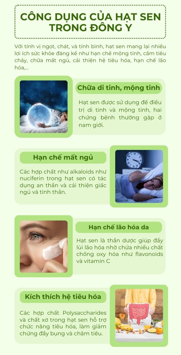 Những lợi ích bất ngờ của hạt sen trong những bài thuốc Đông y