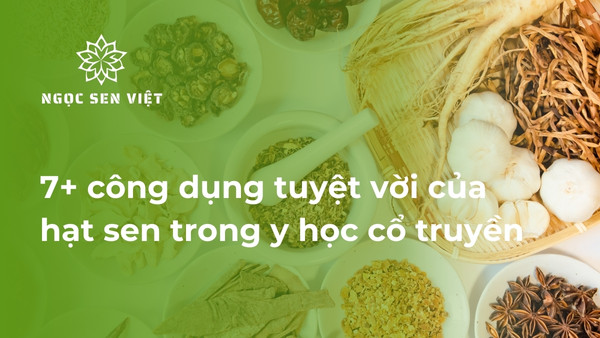 hạt sen trong y học cổ truyền