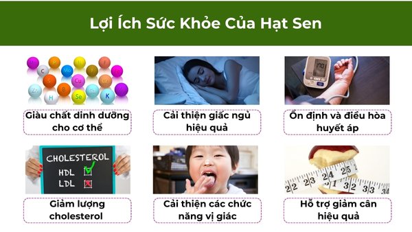 Những lợi ích khi ăn hạt sen tươi