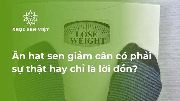 hạt sen giảm cân