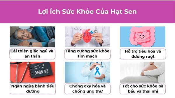 Những tác dụng bất ngờ của hạt sen đối với sức khỏe