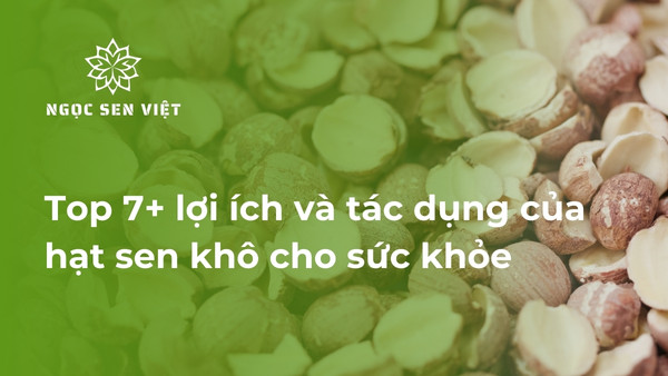 tác dụng của hạt sen khô