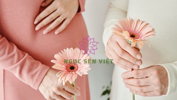 Hạt sen vô cùng tốt cho sức khỏe bà bầu và thai nhi