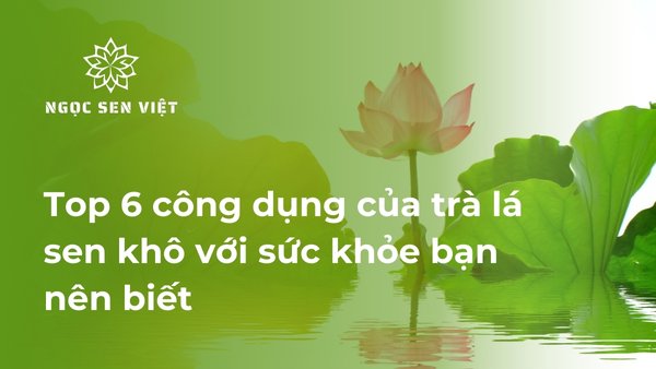 công dụng của trà lá sen khô