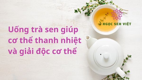 Uống trà tâm sen giúp cơ thể thanh nhiệt và giải độc